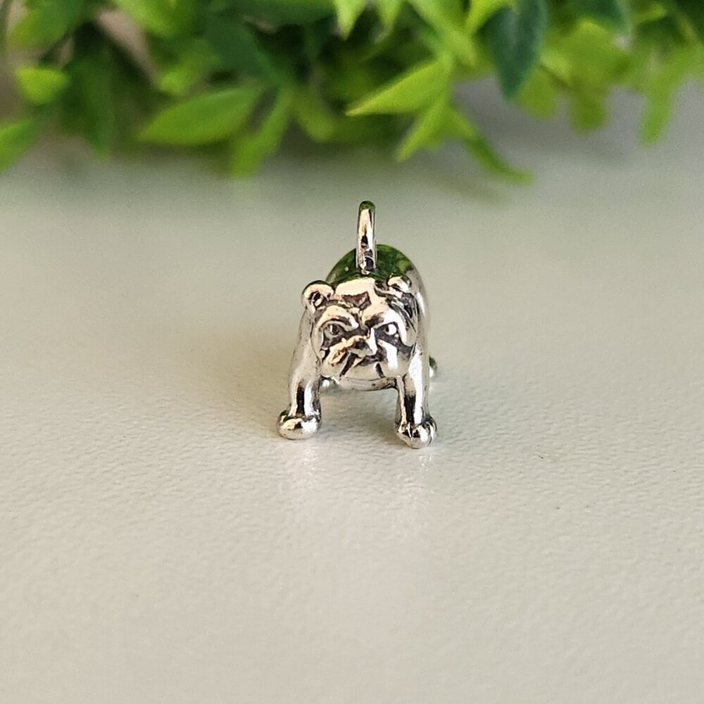 925 Sterling Silver Bulldog Charm - Picture 4 of 6